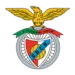 Benfica Castelo Branco