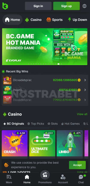 BC.Game Casino homepage mobile